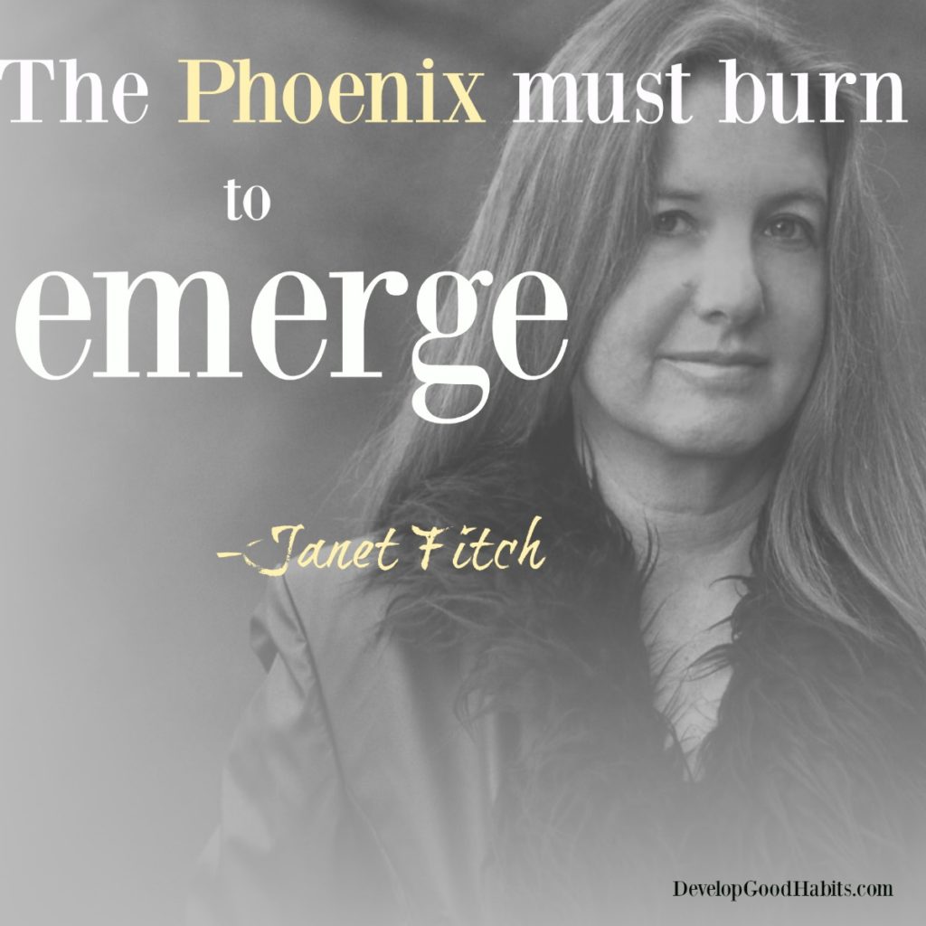 Janet Fitch Success Quotes