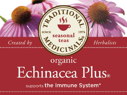 Echinacea Tea benefits