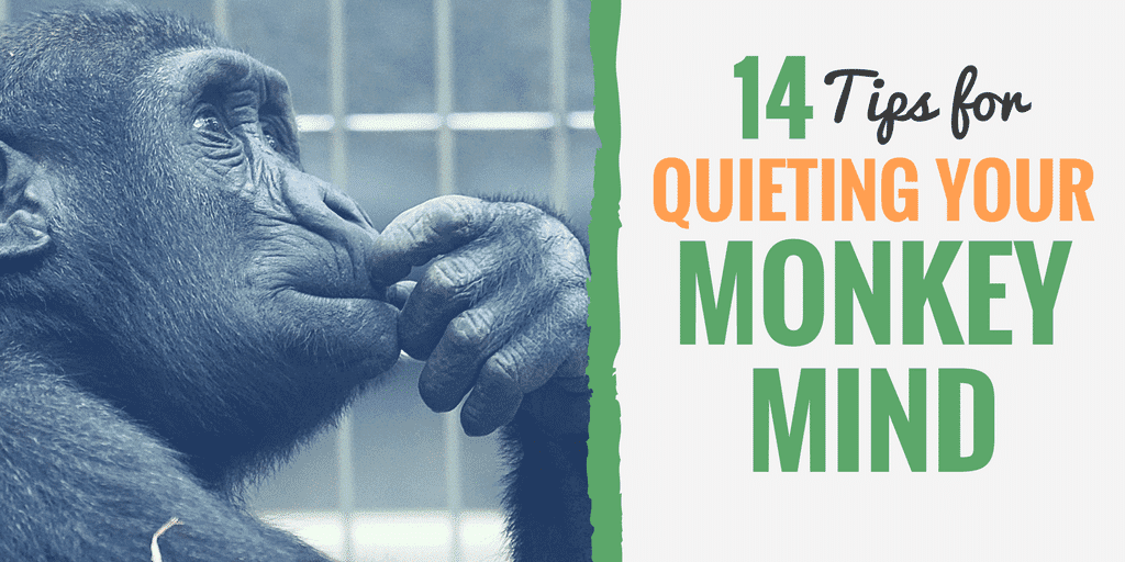 Tips for Quieting Your Monkey Mind