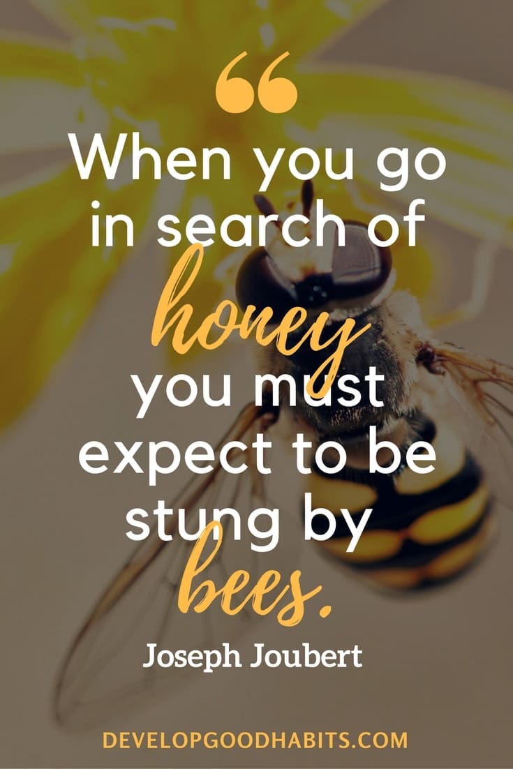 Positive Quotes for Success - “When you go in search of honey, you must expect to be stung by bees.” ― Joseph Joubert #success #qotd #quoteoftheday #quotesoftheday #quotestoliveby #inspiration #motivation #business #career