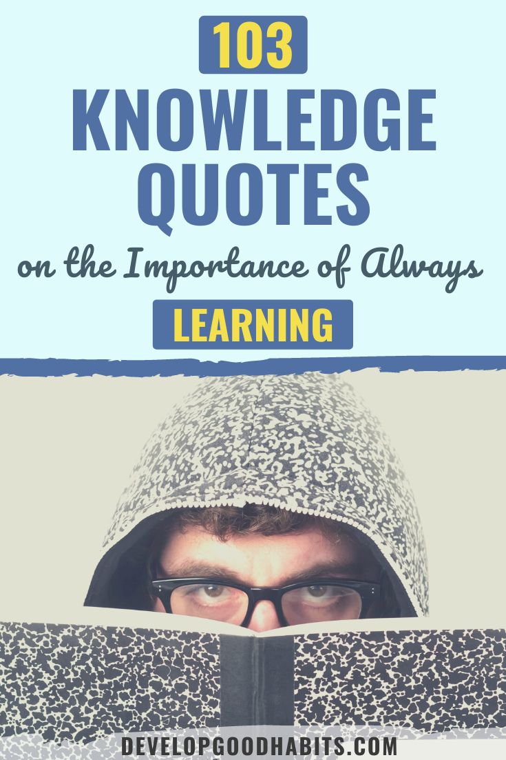 103 Knowledge Quotes on the Importance of Always Learning