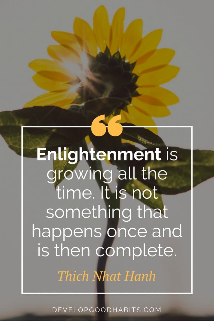 Thich Nhat Hanh Quotes on Meditation and Enlightenment