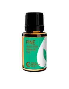 Best Essential Oils for Energy | Essential Oils for concentration and study | Rocky Mountain Oils Pine Essential Oil
