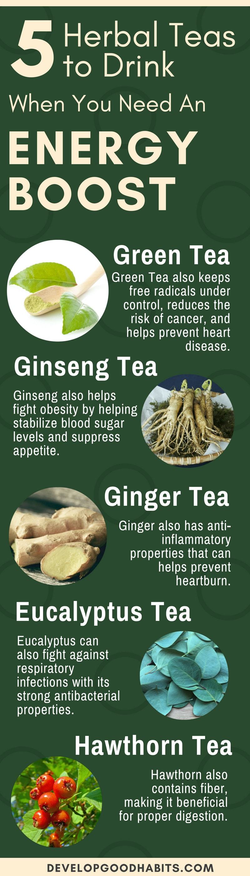 5 Herbal teas to drink when you need an energy boost and other 30 Types of Herbal Teas and Their Benefits in this ultimate guide to choosing the best herbal teas for your needs.| Herbal tea benefits #longevity #infographic #healthyliving #healthylifestyle #wellness #healthyhabits #healthier #organic #natural #holistic
