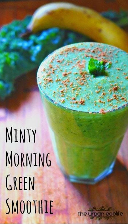 Check out the recipe of this minty morning green smoothie on this awesome post. Learn how to prepare simple green smoothies today. #healthyliving #healthyeating #nutrition #mealprep #nobake #natural #keepingfit #healthyhabits