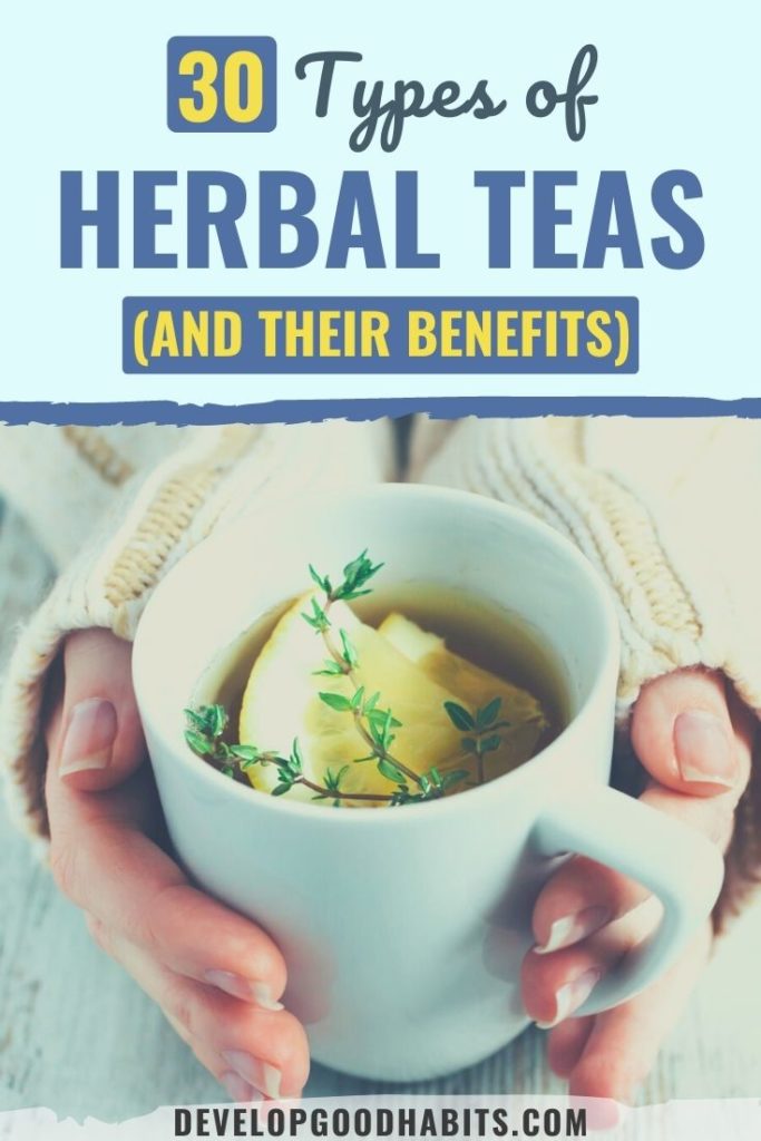 Discover 30 Types of Herbal Teas and Their Benefits in this ultimate guide to choosing the best herbal teas for your needs.