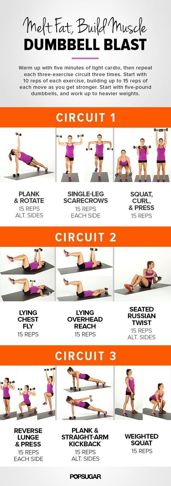 Popular quick full body dumbbell workout