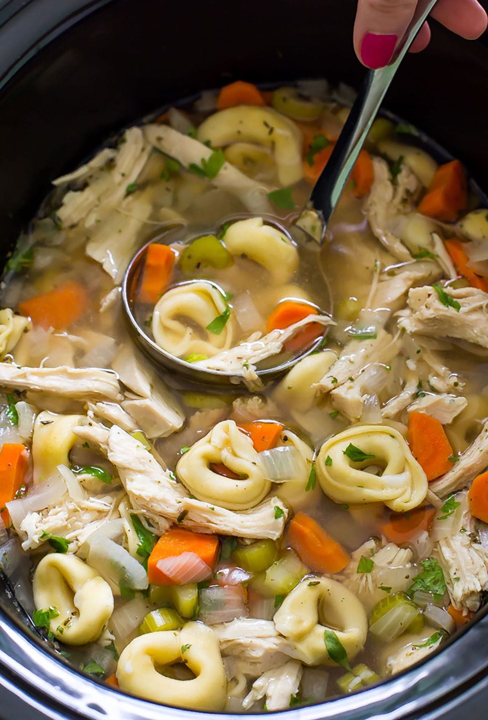 Find your favorite healthy slow cooker recipes in this guide. Click here to discover the best way to prepare cheap and easy recipes for the family. #mealprep #healthyeating #healthyrecipes #nutrition #wellness #healthylife #health #healthier #healthyhabits