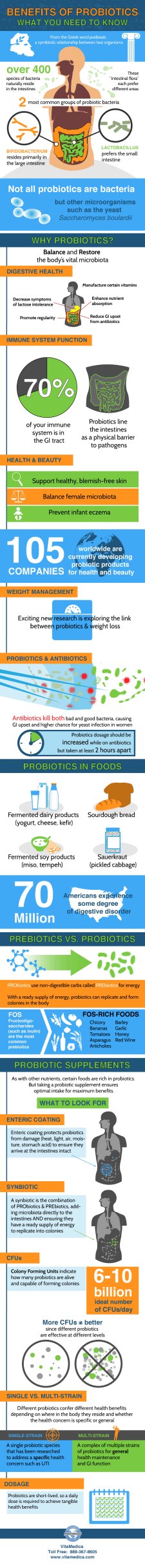 Probiotic Benefits Infographic