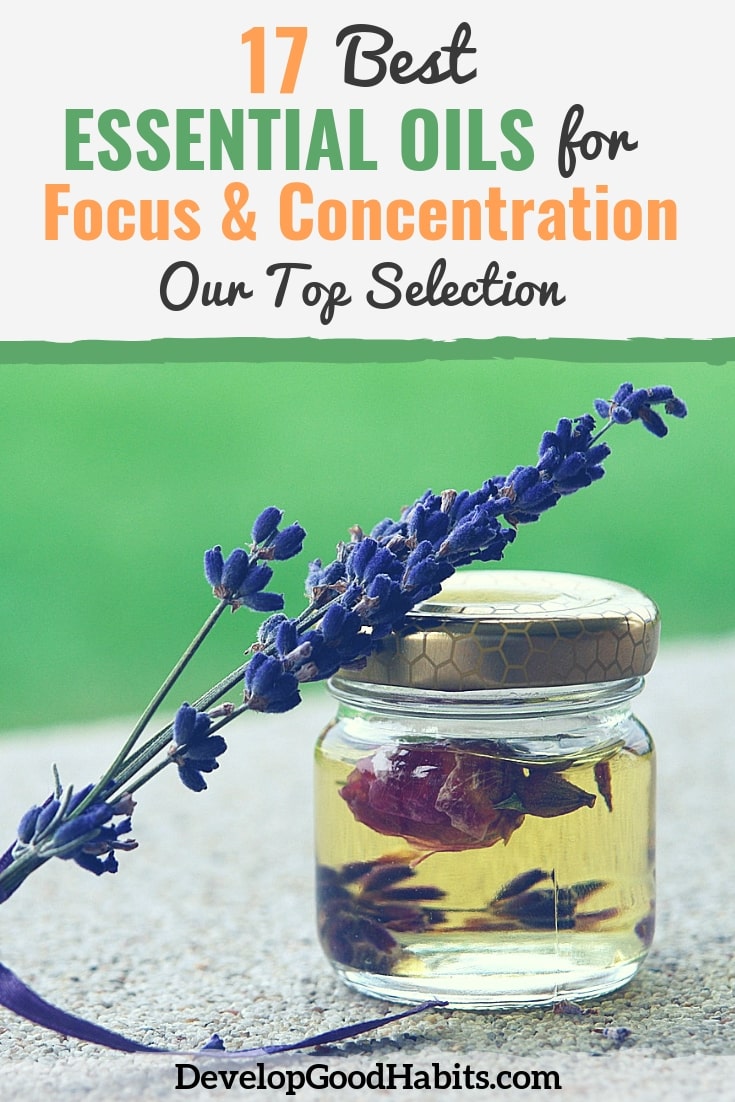 Improve focus and concentration by using the Best Essential Oils for Focus and Concentration. #essentialoils #essentialoilrecipes #aromatherapy #aromatherapyrecipes #stress #calm #natural #holistic Improve focus and concentration by using the Best Essential Oils for Focus and Concentration. #essentialoils #essentialoilrecipes #aromatherapy #aromatherapyrecipes #stress #calm #natural #holistic
