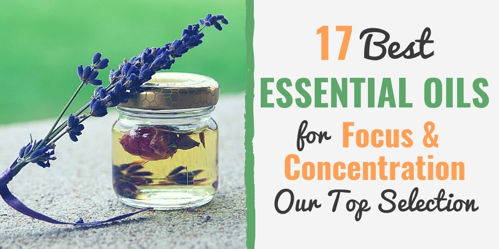 Improve focus and concentration by using the Best Essential Oils for Focus and Concentration.