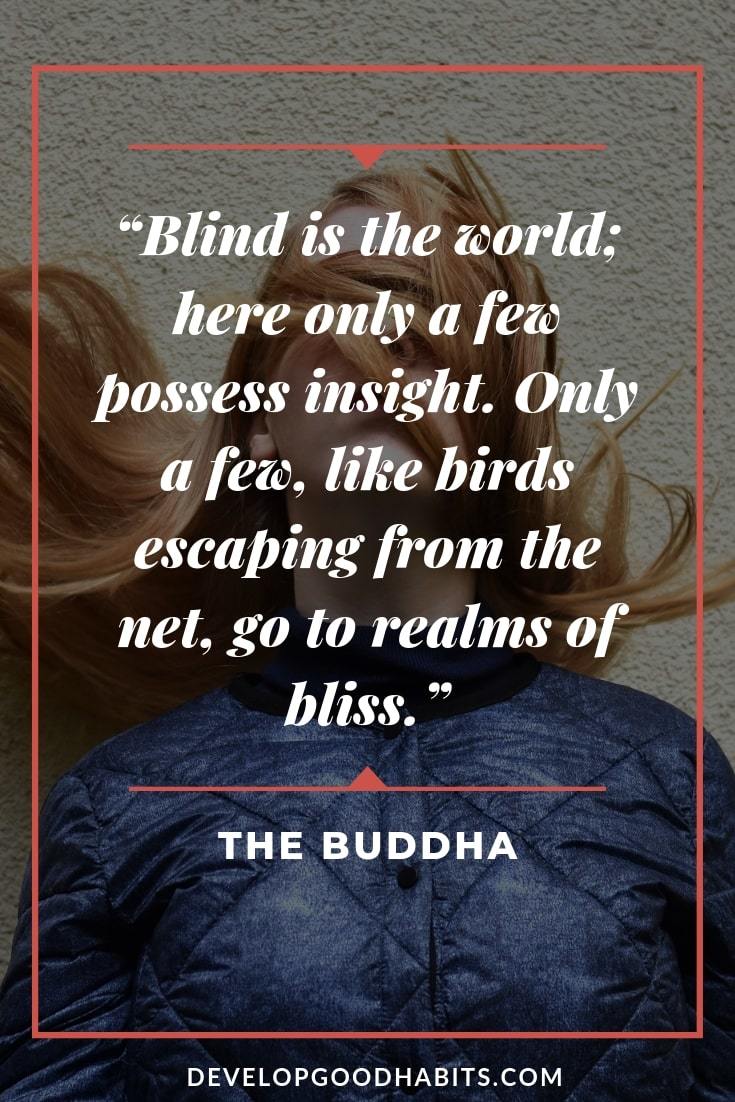 Buddha Quotes on Happiness - “Blind is the world; here only a few possess insight. Only a few, like birds escaping from the net, go to realms of bliss.” – The Buddha | buddha quotes on love | buddha quotes on karma | buddha quotes on death #buddha #quotes #qotd