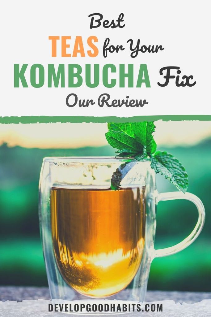 best teas kombucha | best tea to use for kombucha | kombucha flavors