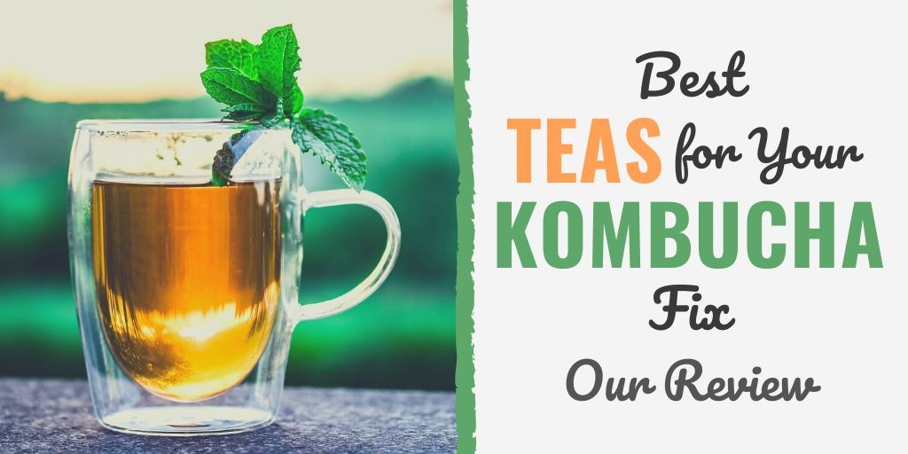 best teas kombucha | best tea to use for kombucha | kombucha flavors
