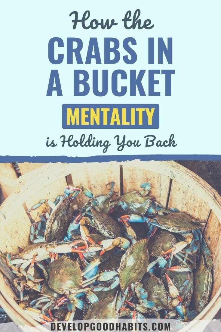 How the Crabs in a Bucket Mentality is Holding You Back