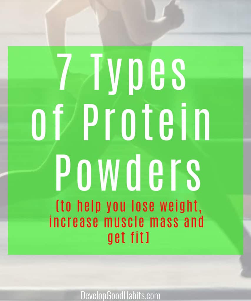 Read the best tasting protein powder reviews and discover  the 7 types of protein powders that will help you to lose weight, increase muscle mass, replace meat (in a vegan diet) and get fit