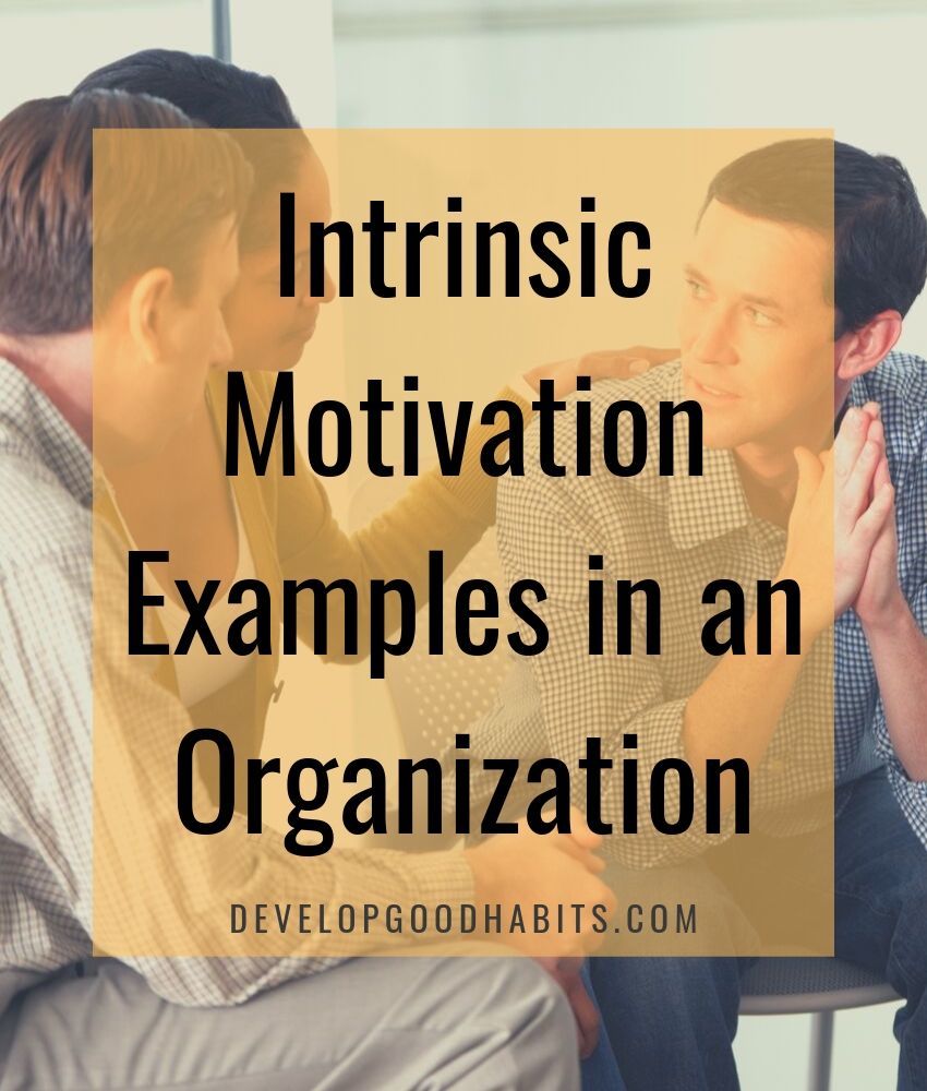Intrinsic Motivation Examples in an Organization