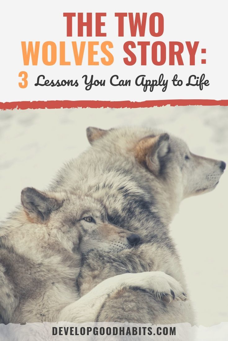 The Two Wolves Story: 3 Lessons You Can Apply to Life