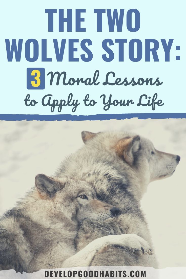 The Two Wolves Story: 3 Moral Lessons to Apply to Your Life