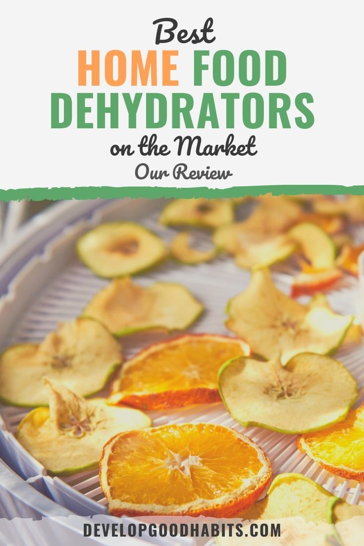 9 Best Home Food Dehydrators on the Market for 2023