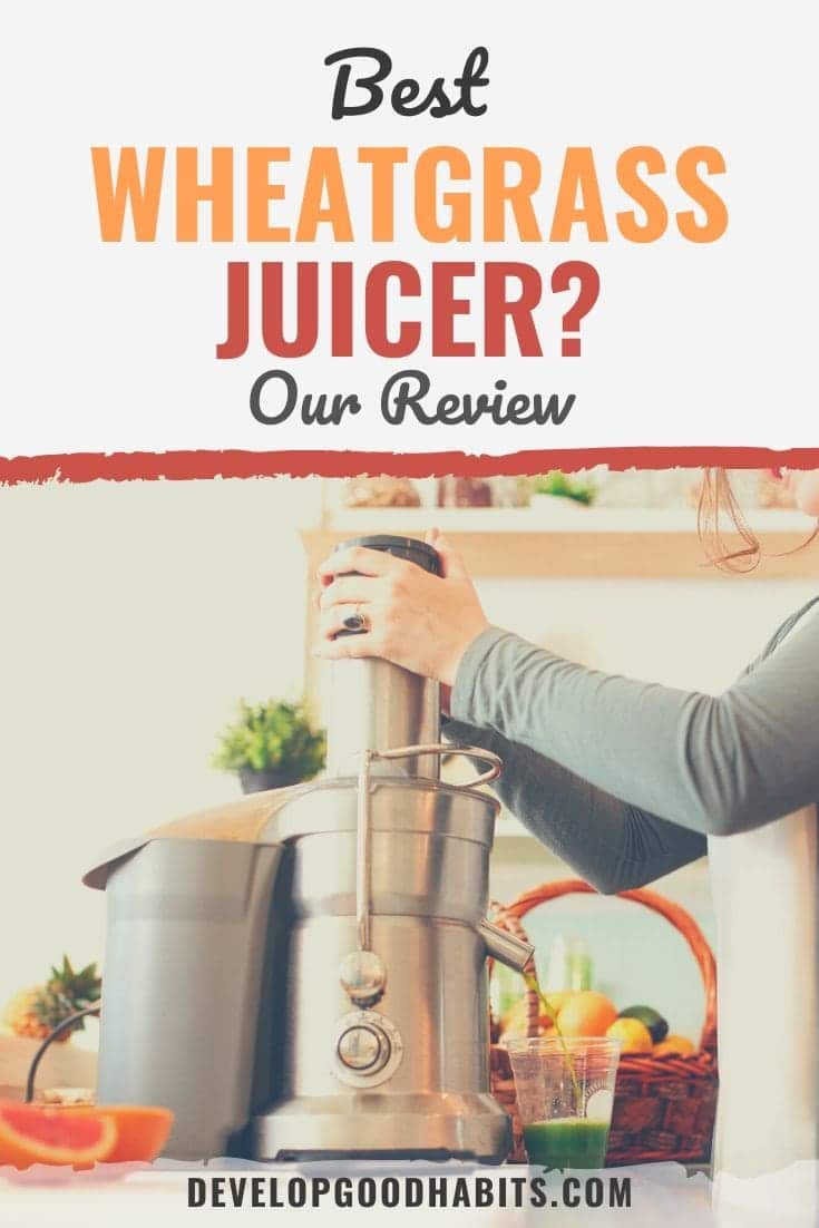 5 Best Wheatgrass Juicers (Our Review for 2022)