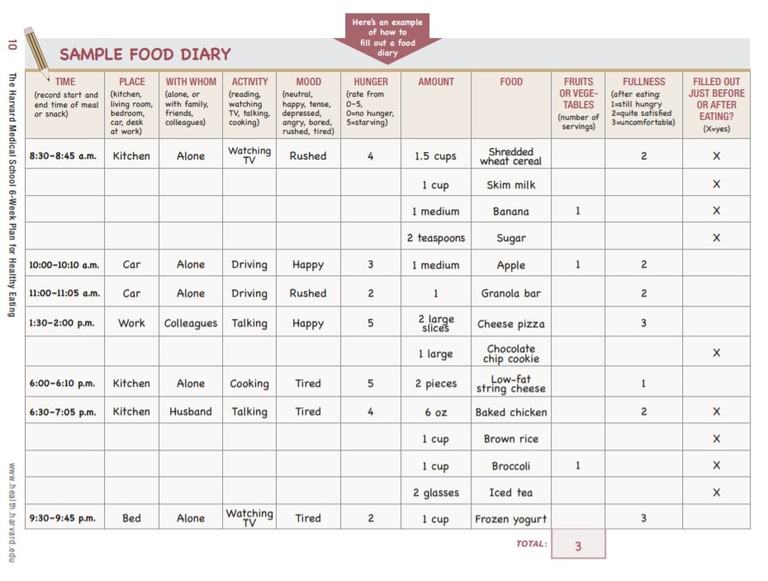 37 Food Journal & Diary Templates to Track Your Meals