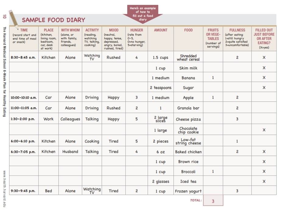 food journal template for diabetics | food journal template for weight loss | food journal template for gastric bypass patients
