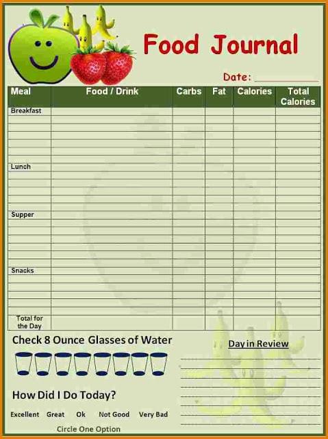 daily food diary pdf | food log sheet printable | food diary template slimming world