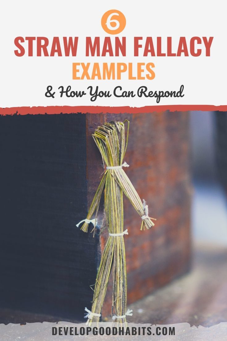 6 Straw Man Fallacy Examples & How You Can Respond