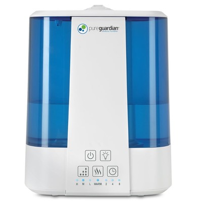 10 Best Warm Mist Humidifiers on the Market for 2026 | Develop Good Habits