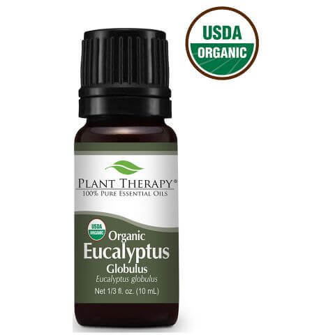 Essential Oils for Studying | Improves Memory and Mental Acuity | Plant Therapy Eucalyptus Globulus Organic Essential Oil