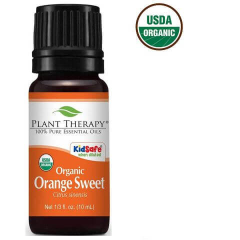 Essential Oils for Studying | Improves Mood and Focus | Plant Therapy Orange Sweet Organic Essential Oil