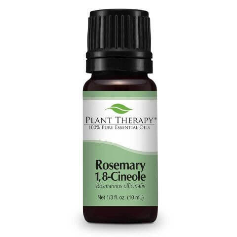 Essential Oils for Studying | Cognition Boosting Essential Oil | Plant Therapy Rosemary 1 8-Cineole Essential Oil