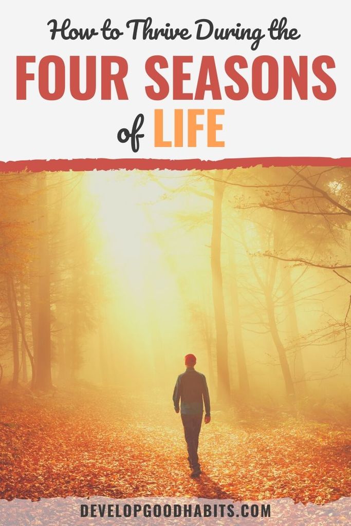 seasons of life | embracing the seasons of life | season of life meaning
