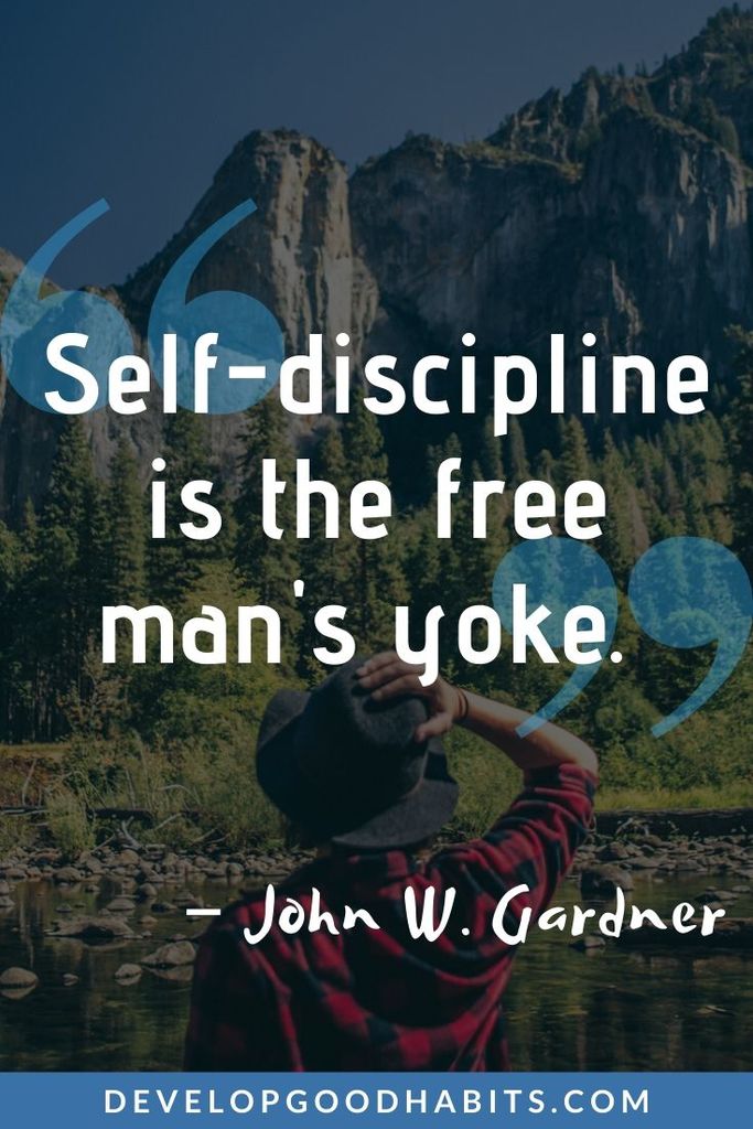 Short Quotes on Discipline - “Self-discipline is the free man's yoke.” – John W. Gardner | self discipline quotes pdf | discipline quotes wallpaper | military discipline quotes #quote #quotes #qotd