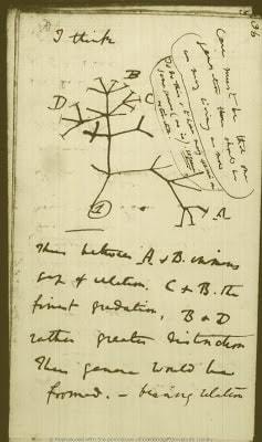 charles darwin | famous journal writers | historical diaries and journals