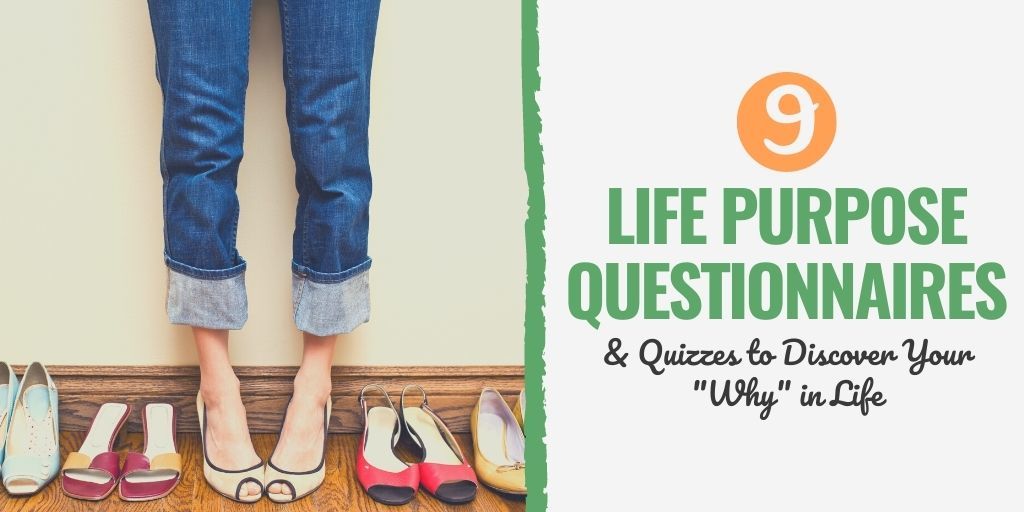 life purpose questionnaire pdf | what is your purpose in life examples | how to find your purpose and passion in life
