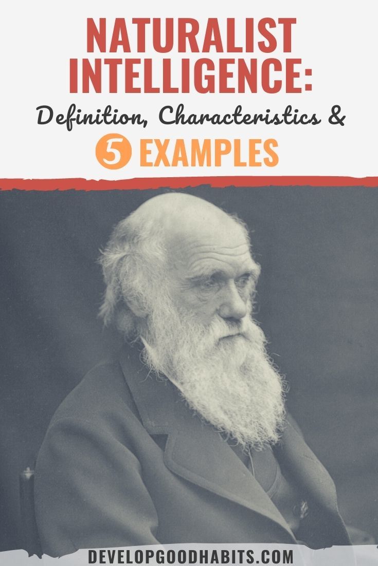Naturalist Intelligence: Definition, Characteristics & 5 Examples