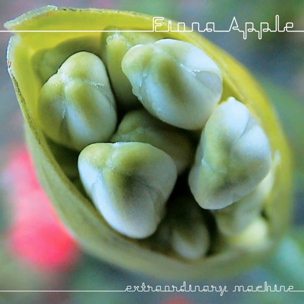 Extraordinary Machine | Fiona Apple | body positive pop songs