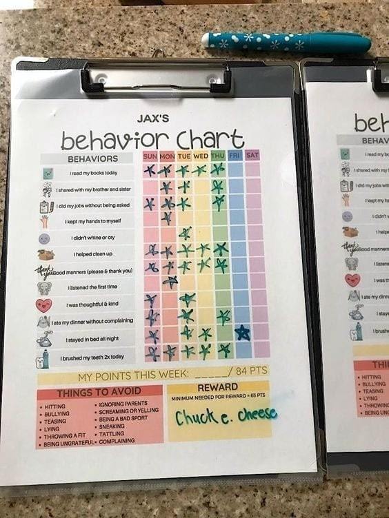 Behavior Chart with Your Kids Name and Dry Erase Goal Section Multi Themes Avail 