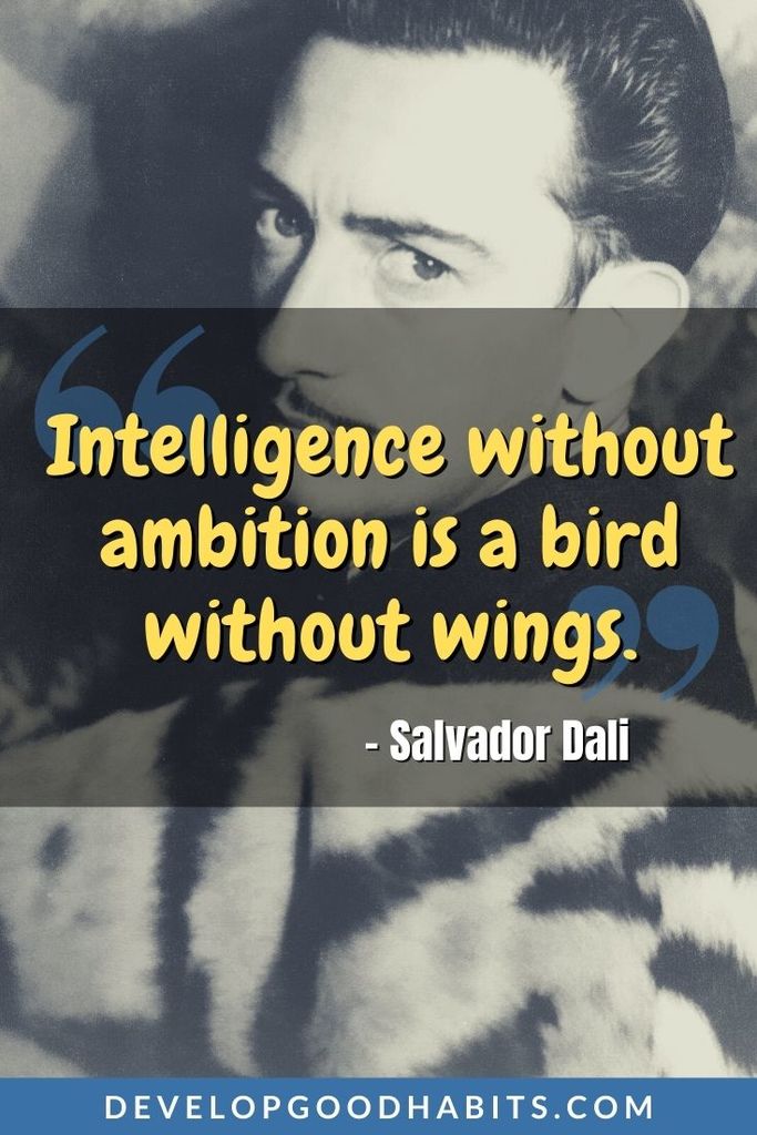 Ambition Quotes - “Intelligence without ambition is a bird without wings.” – Salvador Dali | too much ambition quotes | short ambition quotes | best ambition quotes #success #goal #quote