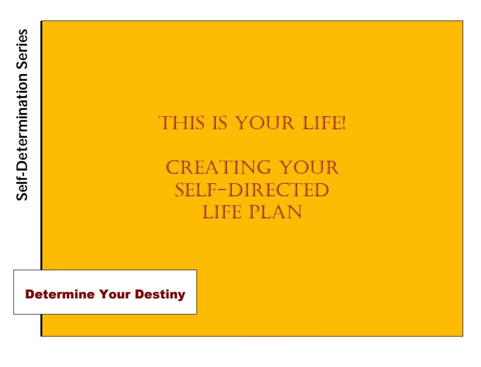 how do i create a life plan template | what are the 6 steps to making a life plan | what are examples of life plans