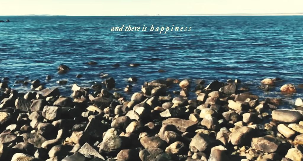 Happiness | Taylor Swift | happy song lyrics
