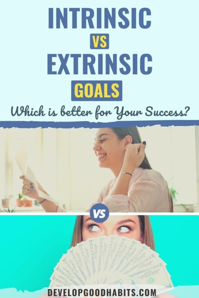 intrinsic vs extrinsic goals | intrinsic and extrinsic goals examples | difference between intrinsic and extrinsic goals