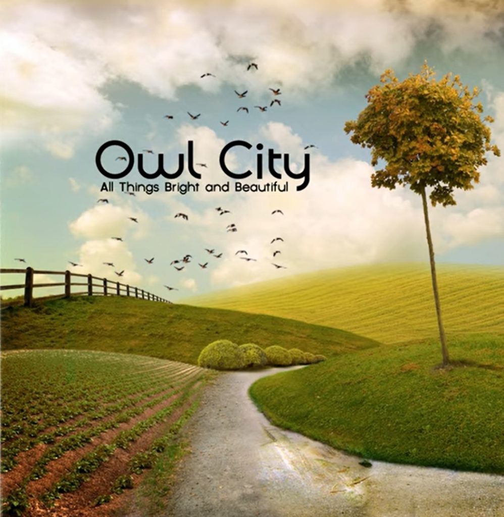Hospital Flowers | Owl City | songs about pain lyrics