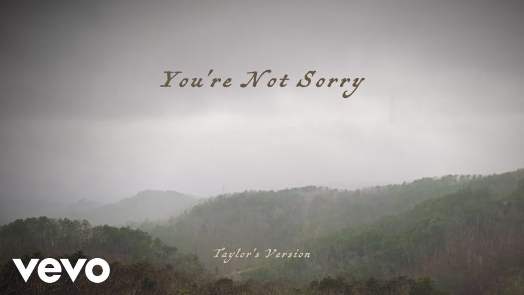 Youre Not Sorry | Taylor Swift | rap songs about trust issues