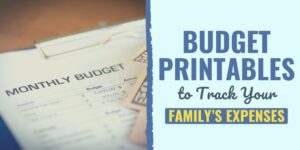 budget printables | free budget printables | budget printables pdf