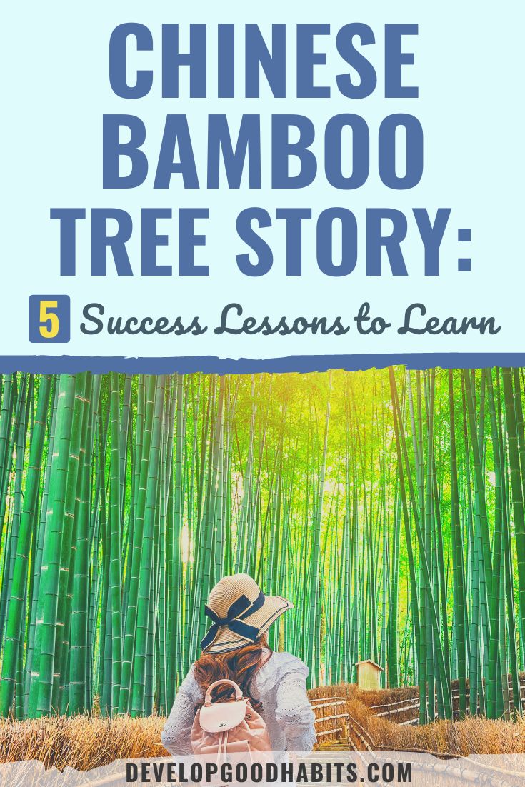 Chinese Bamboo Tree Story: 5 Success Lessons to Learn