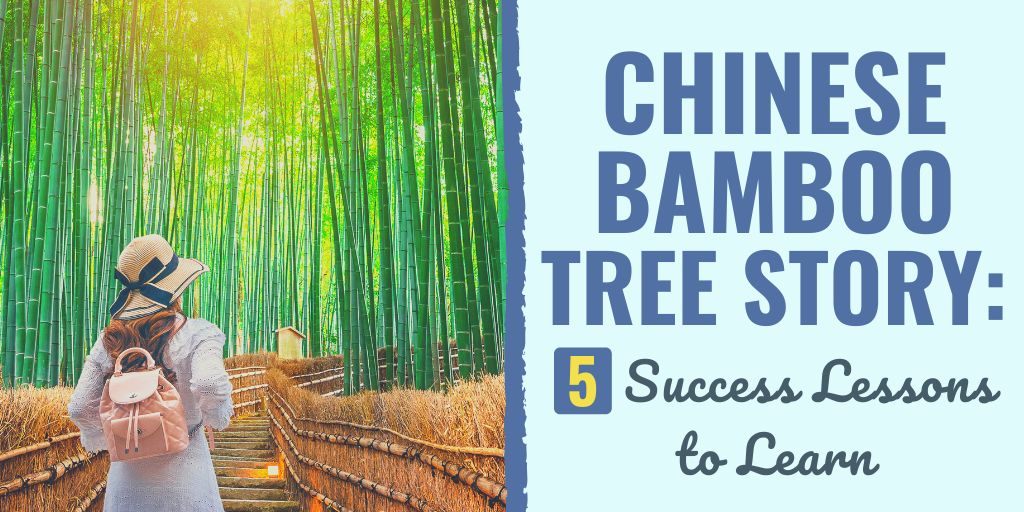 chinese bamboo tree | chinese bamboo tree story | chinese bamboo tree story lessons
