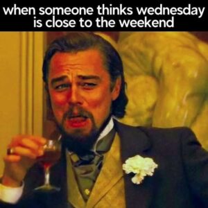 55 Funny Hump Day Memes to Get Through the Workweek | Develop Good Habits